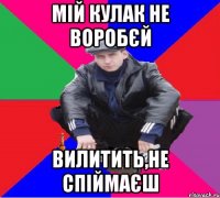 МІЙ КУЛАК НЕ ВОРОБЄЙ ВИЛИТИТЬ,НЕ СПІЙМАЄШ