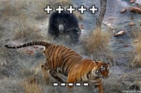 + + + + + - - - - -