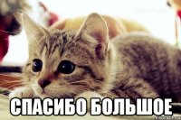  спасибо большое