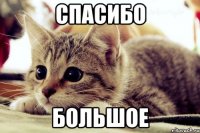 спасибо большое