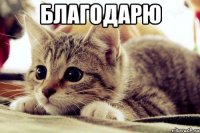 благодарю 