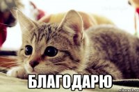  благодарю