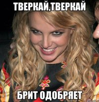 Тверкай,Тверкай Брит одобряет