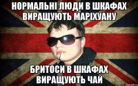 нормальні люди в шкафах виращують маріхуану бритоси в шкафах виращують чай