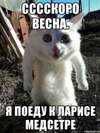 Сссскоро весна. я поеду к Ларисе медсетре