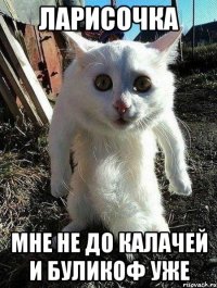 Ларисочка мне не до калачей и буликоф уже