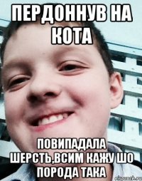 Пердоннув на кота Повипадала шерсть,всим кажу шо порода така