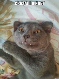 сказал привет 