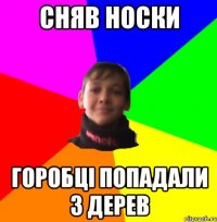 СНЯВ НОСКИ ГОРОБЦI ПОПАДАЛИ З ДЕРЕВ