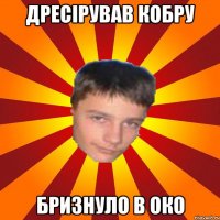 Дресірував кобру Бризнуло в око