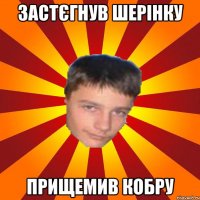 застєгнув шерінку прищемив кобру