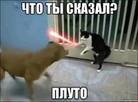 что ты сказал? плуто