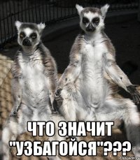  Что значит "УзбаГойся"???