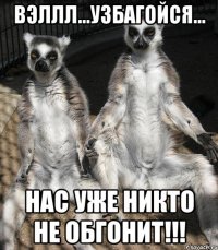 Вэллл...Узбагойся... Нас уже никто не обгонит!!!