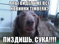 А ты видел уже все новинки Timberk? Пиздишь, сука!!!!