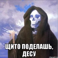  Щито поделашь, десу