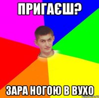 Пригаєш? зара ногою в вухо