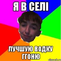Я в селі Лучшую водку ггоню