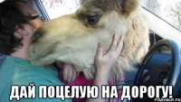 дай поцелую на дорогу!
