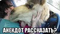  анекдот рассказать?