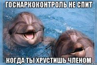 госнаркоконтроль не спит когда ты хрустишь членом