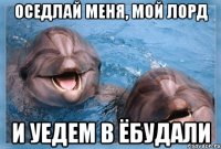 оседлай меня, мой лорд и уедем в ёбудали