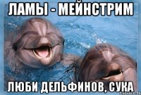 ламы - мейнстрим люби дельфинов, сука