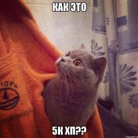 Как это 5к хп??