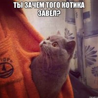 ты зачем того котика завел? 