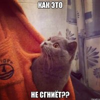 Как это Не сгниёт??
