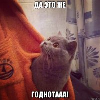 ДА ЭТО ЖЕ ГОДНОТААА!