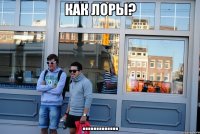 как ЛОРы? .............