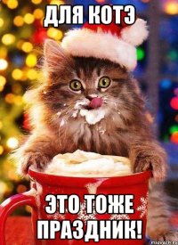 для котэ это тоже праздник!