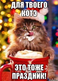 для твоего котэ это тоже праздник!
