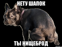 нету шапок ты нищеброд