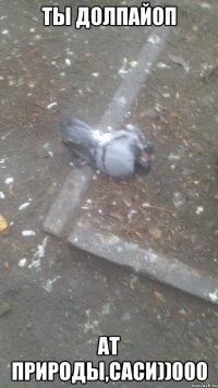 ТЫ ДОЛПАЙОП АТ ПРИРОДЫ,САСИ))000