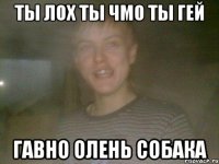 ТЫ ЛОХ ТЫ ЧМО ТЫ ГЕЙ ГАВНО ОЛЕНЬ СОБАКА