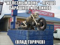 "железный конь" - лучше барашков и осликов (Влад Горячев)