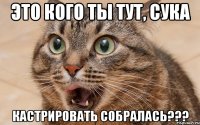 это кого ты тут, сука кастрировать собралась???