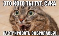 это кого ты тут, сука кастрировать собралась?!