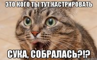 это кого ты тут кастрировать сука, собралась?!?