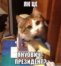 Як це Януович - президент?