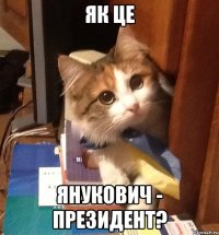 Як це Янукович - Президент?