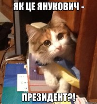 Як це Янукович - Президент?!