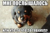 Мне послышалось Или кто-то что-то тявкнул?