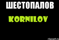 Шестопалов 