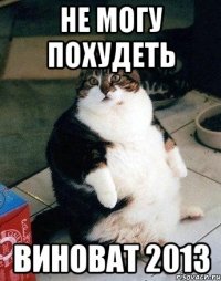 не могу похудеть виноват 2013