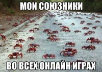 Мои союзники во всех онлайн играх