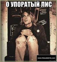 о упоратый лис 