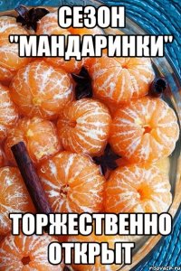 СЕЗОН "МАНДАРИНКИ" ТОРЖЕСТВЕННО ОТКРЫТ